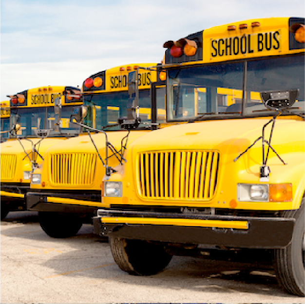 Row of school buses