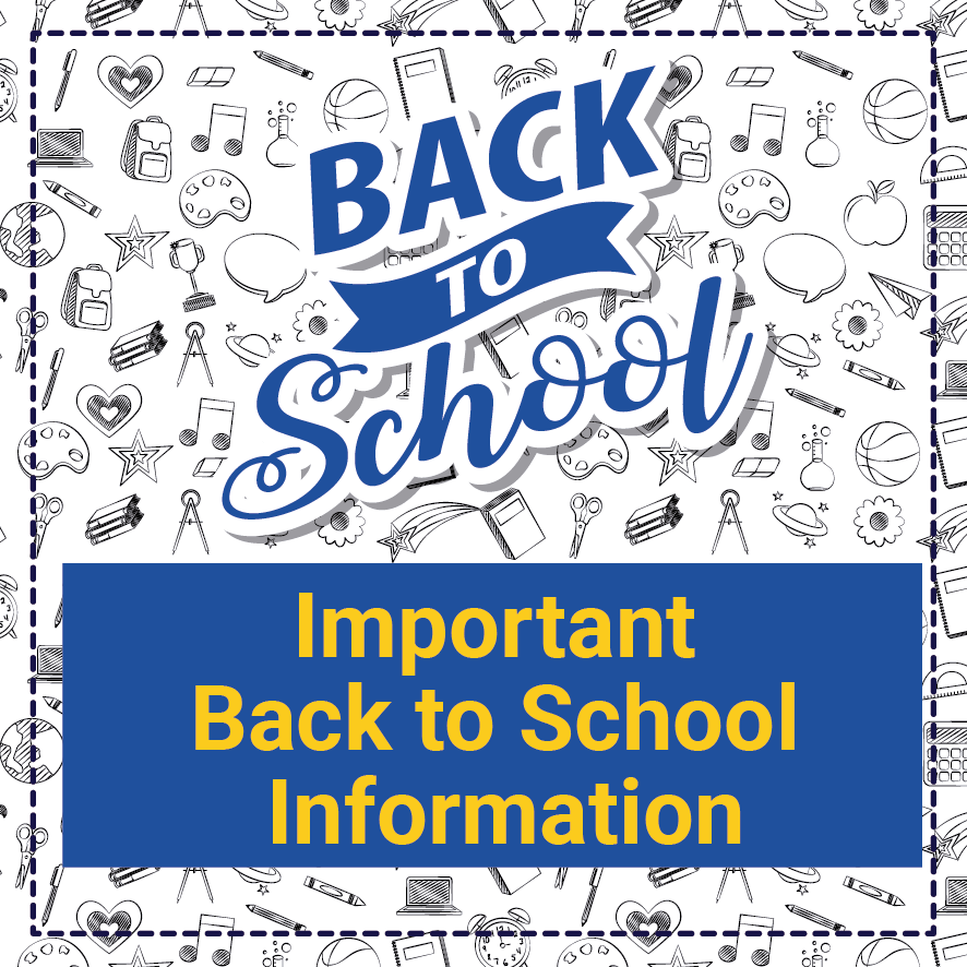 Back to school graphic with handdrawn school supplies