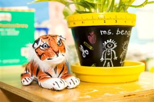 Brader TIger Stuffed Animal Brader TIger Stuffed Animal