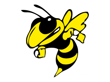   Yellowjacket
