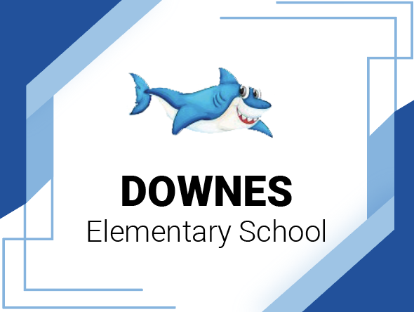 Downes