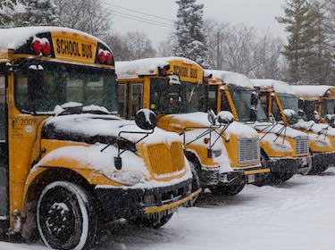  Row of school buses covered in snow